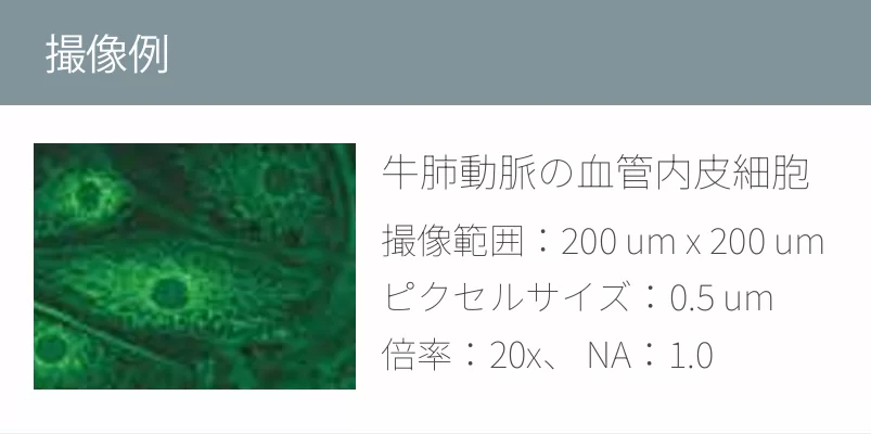 撮像例